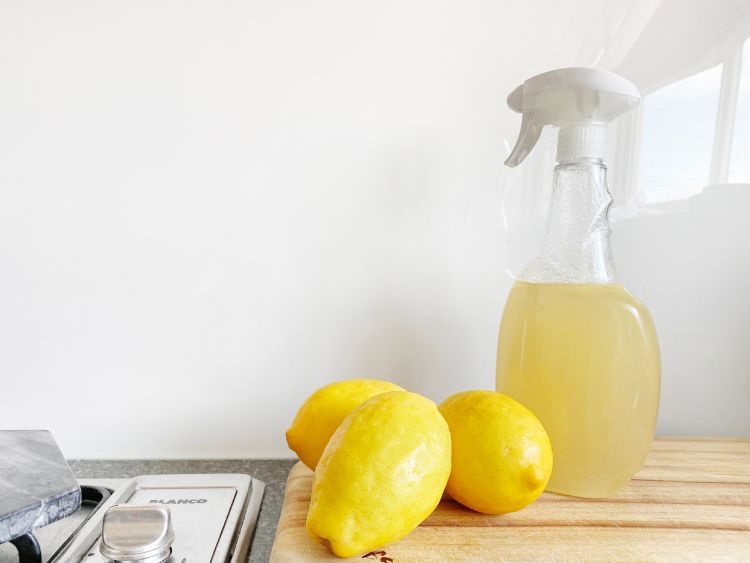 soluzione-di-aceto-bianco-e-limone